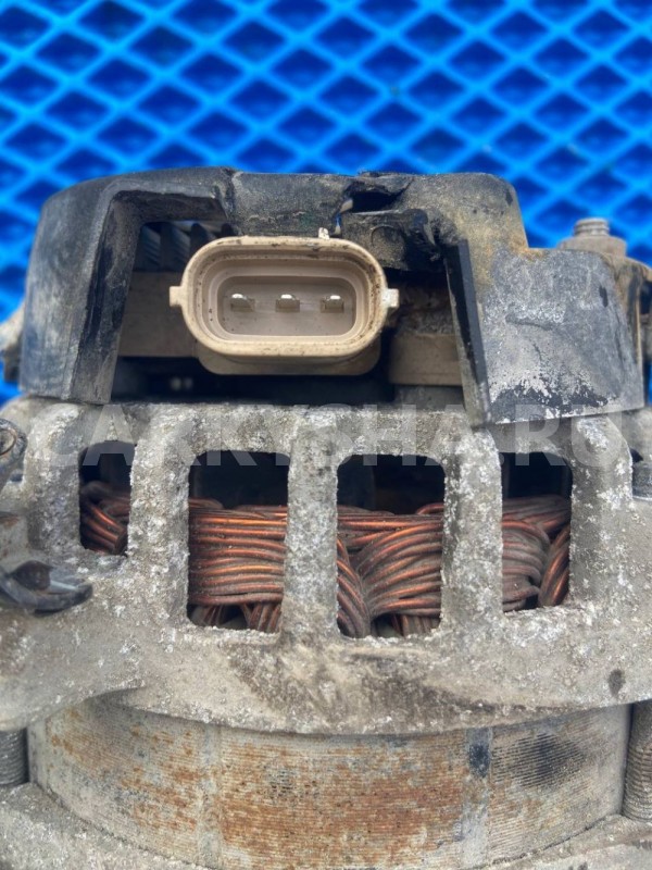 Генератор Haval Jolion I (2021—2026) Haval Jolion оригинальный номер 3701100XEG71