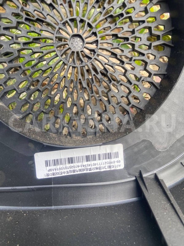 Обшивка двери Haval Jolion I (2021—2026) Haval Jolion оригинальный номер 6102ST010014A8P